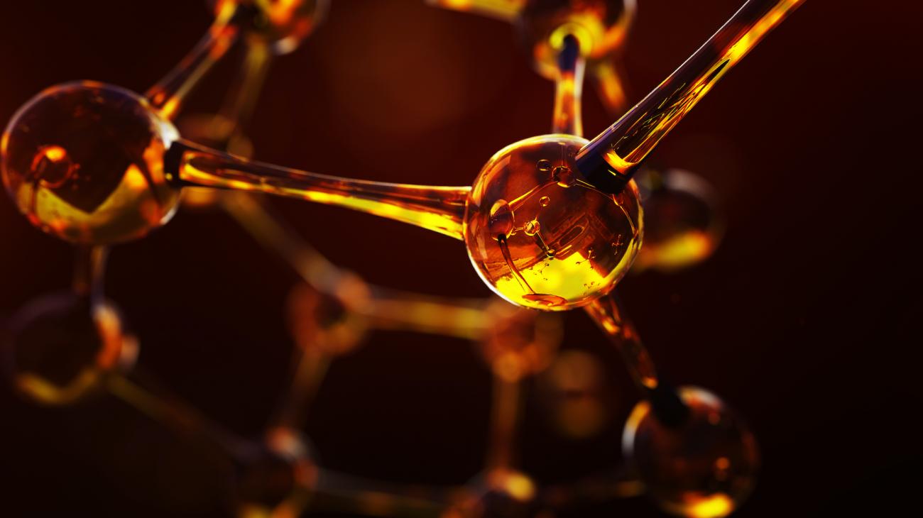Bioactive Lipids Oxford Biomedical Research